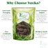 Yuvika Bispis - Bisphus - Polypodium vulgare - Wall Fern